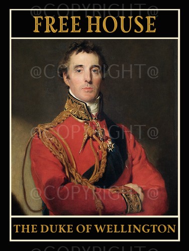 Duke wellington british - duke,