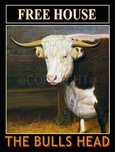 Bulls head traditional - bulls,