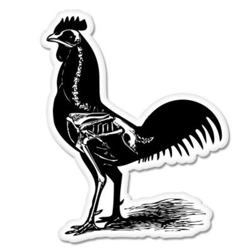Rooster skeleton car vinyl - car,