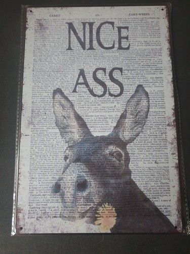 Nice ass metal sign plaque - ass,