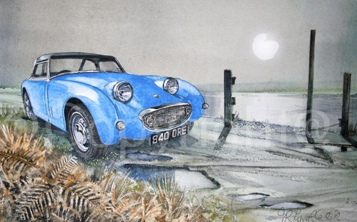 Austin healey frog eye - healey, sprite