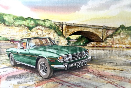 Triumph stag rare green - triumph,