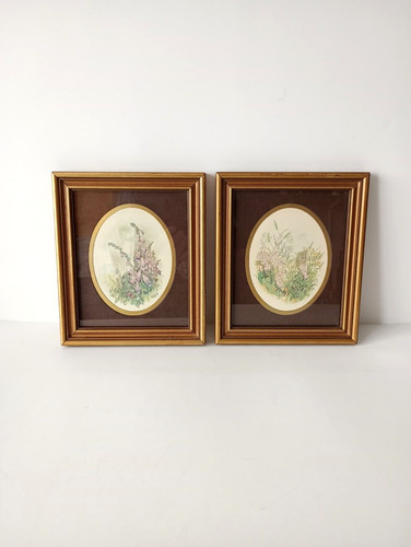 Ambig collections celia - ambig,