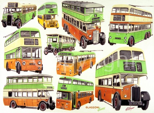 Glasgow buses montage - buses,