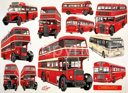 Cumberland motor services - motor, bus